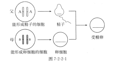 棉花产量与人口数之比属于强度相对指标